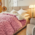 Double-layer Thickened Blanket