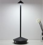 Modern Minimalist LED Table Decor Lamp