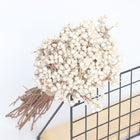 Dried White Fruit Flowers 100g for Home Decor DIY