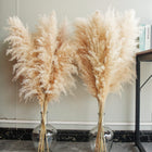 40" inch 10 Stems Natural Pampas Grass Decor Tall pompas Grass Tall Pampas Grass for Wedding Party Farmhouse Boho Home Decor