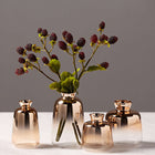 Nordic Modern Gold-Plated Glass Vase for Home Decor