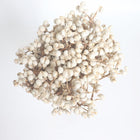 Dried White Fruit Flowers 100g for Home Decor DIY