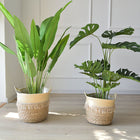 Large Woven Flower Pot Set for Nordic Home Decor