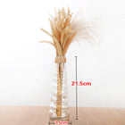 Creative Glass Vase for Home Decor with Plants