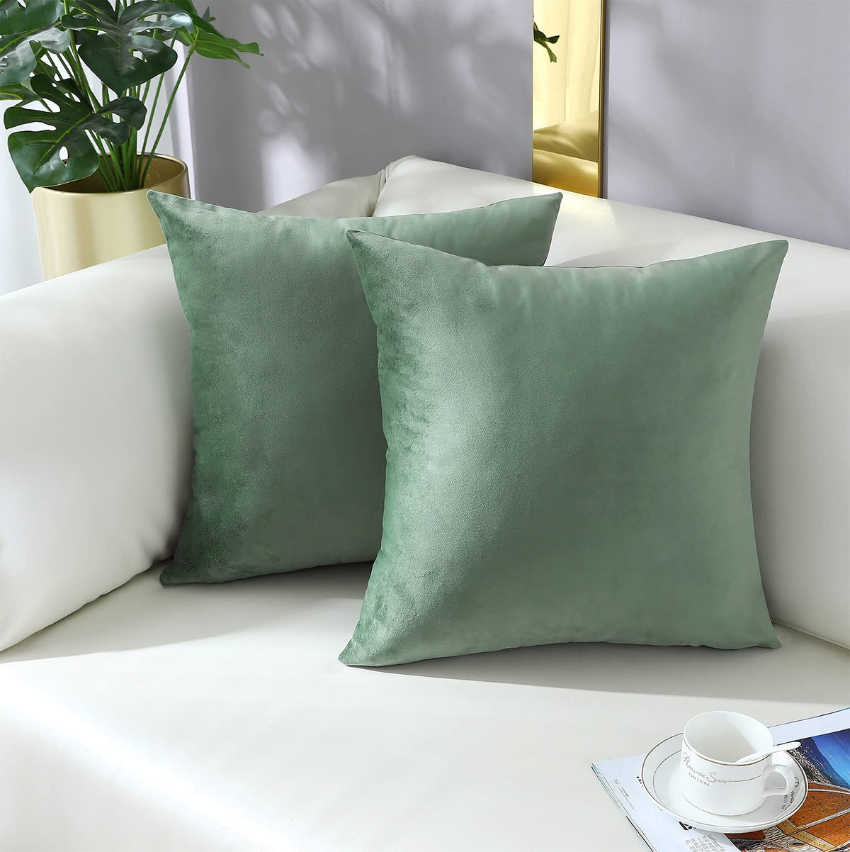 mixeoo Comfy Sage Green Throw Pillow Covers Decorative Square Solid Thick Velvet Super Soft Couch Cushion Cases for Living Room Sofa Decor Set of 2 14 x 14 Inch