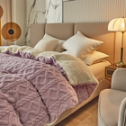 Double-layer Thickened Blanket